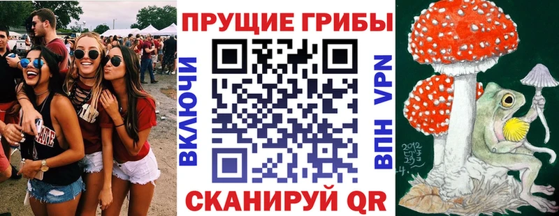 наркошоп  Солигалич  Галлюциногенные грибы Magic Shrooms 